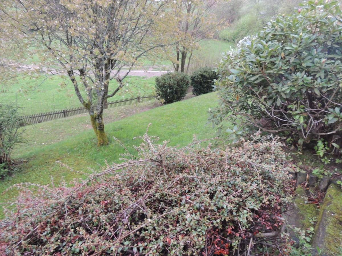 Apartament FW Zauberblick Zwiesel Zewnętrze zdjęcie
