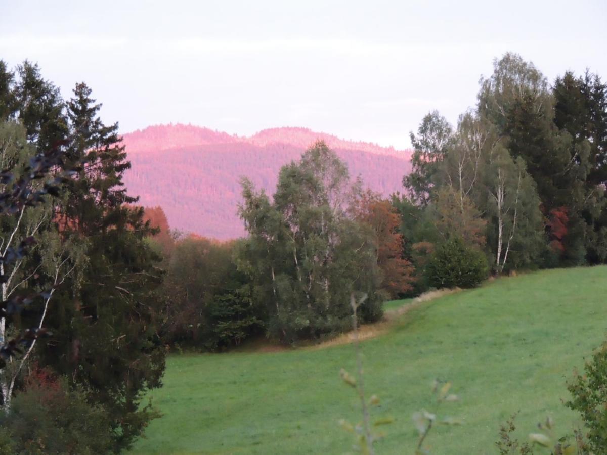 Apartament FW Zauberblick Zwiesel Zewnętrze zdjęcie