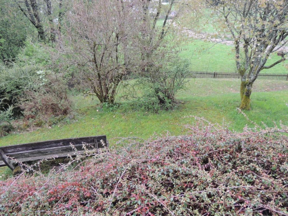 Apartament FW Zauberblick Zwiesel Zewnętrze zdjęcie